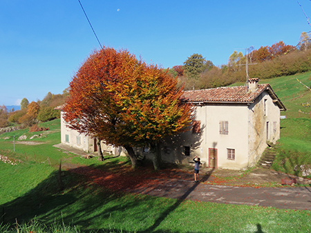 Alla Madonnina del Costone (1195 m) in veste autunnale da Salmezza-21ott24 - FOTOGALLERY